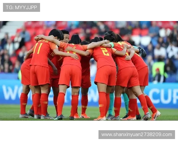 成都排球队在世界杯积分榜中以77分稳居第一名展现强劲实力