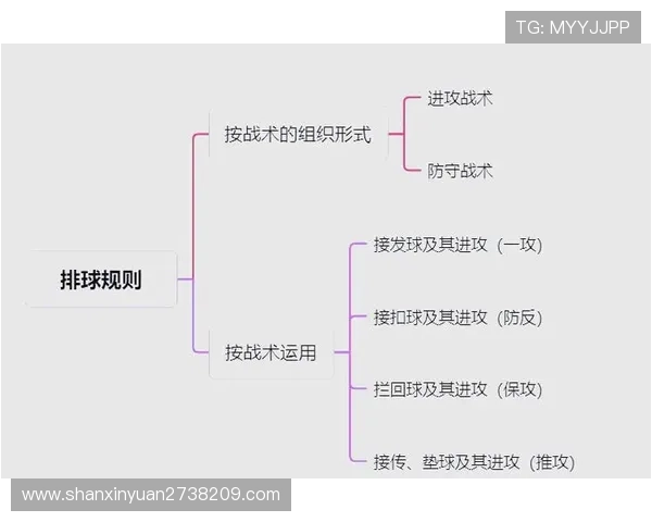 从零基础到排球高手：全面掌握排球技术与实战技巧的终极指南
